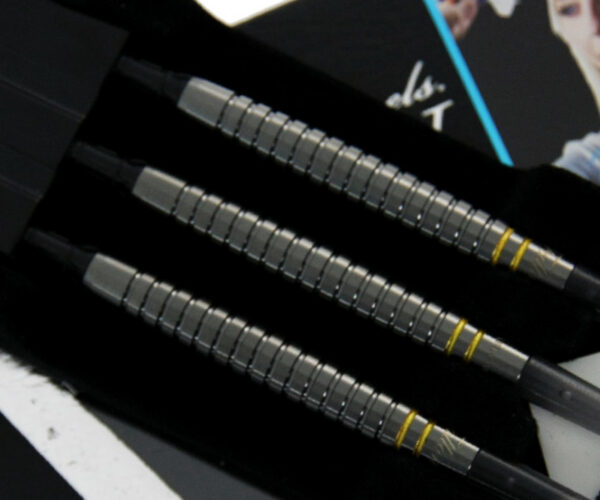 Dynasty A-Flow Black Line Fallon 3 DLC Fallon Sherrock - Softdart
