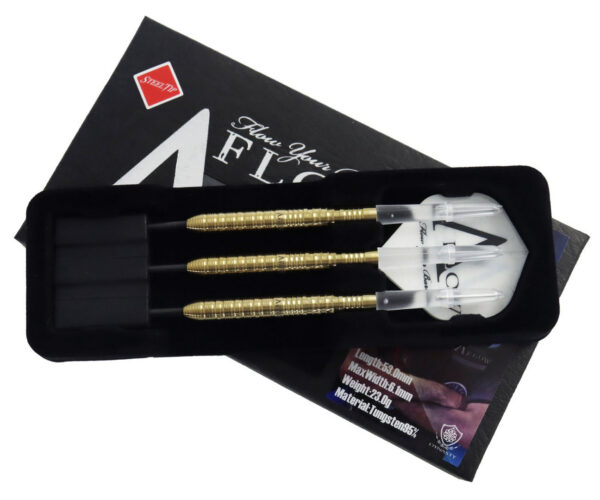 Dynasty Eddie 1.1 Edward Foulkes - Steeldart
