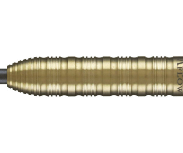 Dynasty Eddie 1.1 Edward Foulkes - Steeldart