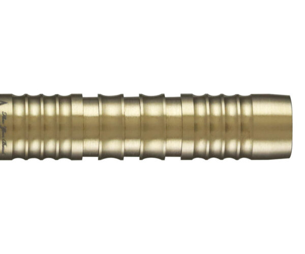 Dynasty Eddie 1.1 Edward Foulkes - Steeldart