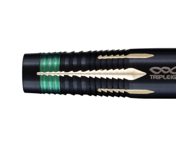trd2731_06.jpg Dynasty Tripleight Respect Niki Osamu - Softdart