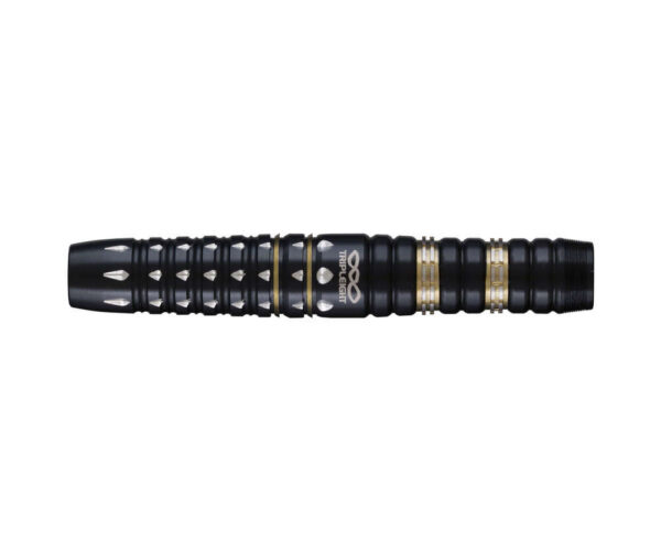 trd2772_01_ml.jpg Dynasty Tripleight Abel 2 TR AI Kamata - Softdart